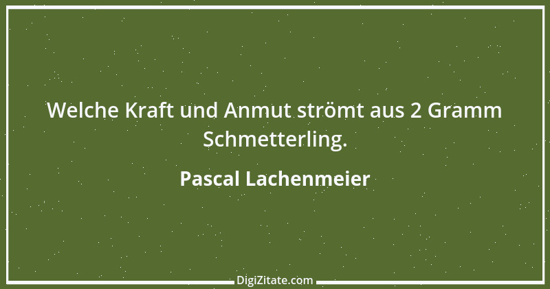 Zitat von Pascal Lachenmeier 72