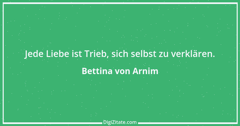 Zitat von Bettina von Arnim 37