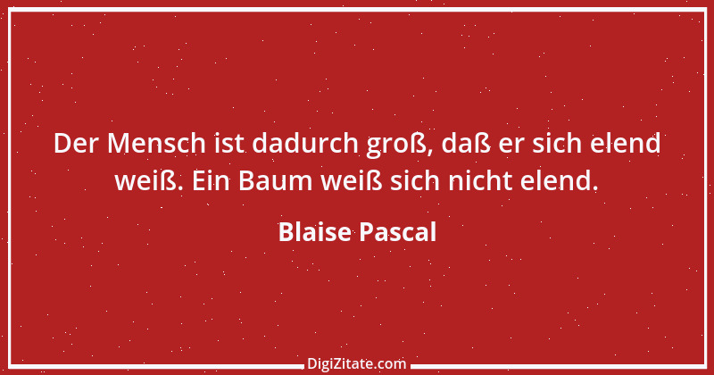 Zitat von Blaise Pascal 315