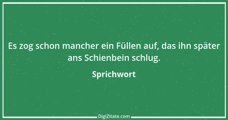 Zitat von Sprichwort 278