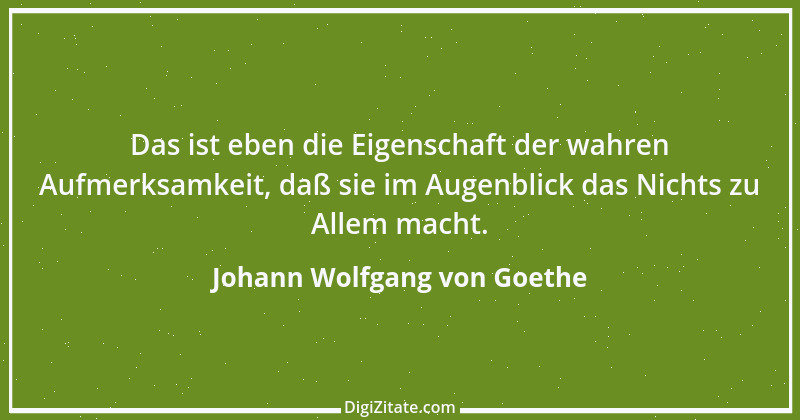 Zitat von Johann Wolfgang von Goethe 1287