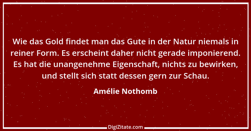 Zitat von Amélie Nothomb 16