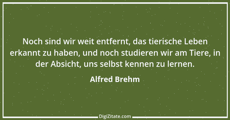 Zitat von Alfred Brehm 130