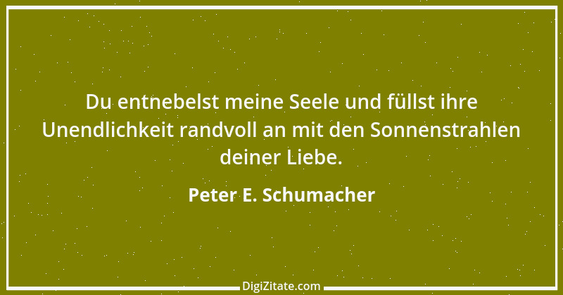 Zitat von Peter E. Schumacher 95