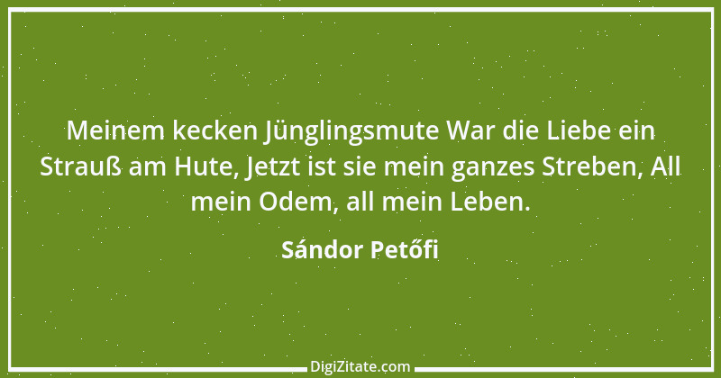 Zitat von Sándor Petőfi 1