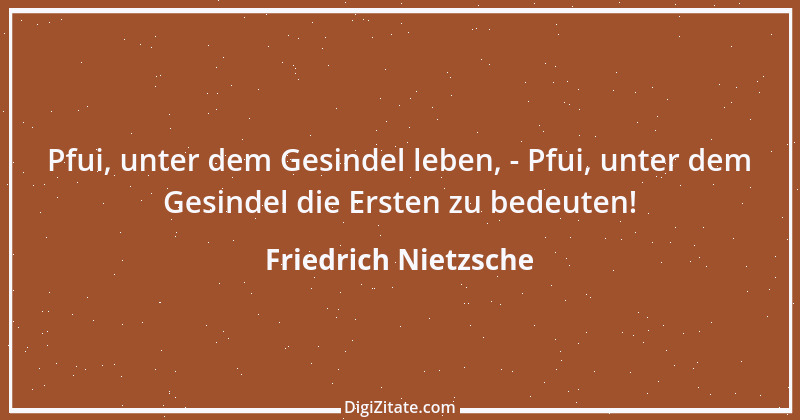 Zitat von Friedrich Nietzsche 1228