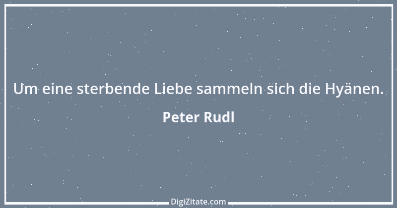 Zitat von Peter Rudl 565