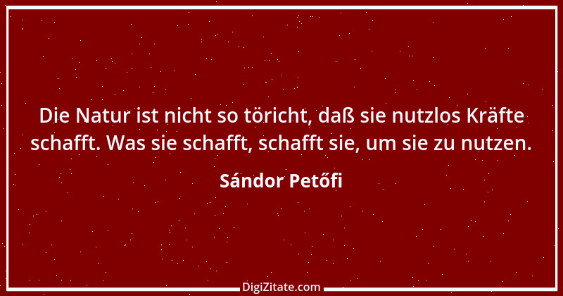 Zitat von Sándor Petőfi 3