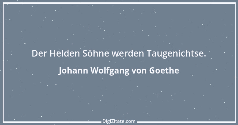 Zitat von Johann Wolfgang von Goethe 2293