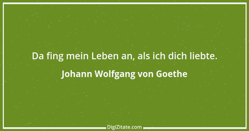 Zitat von Johann Wolfgang von Goethe 3293