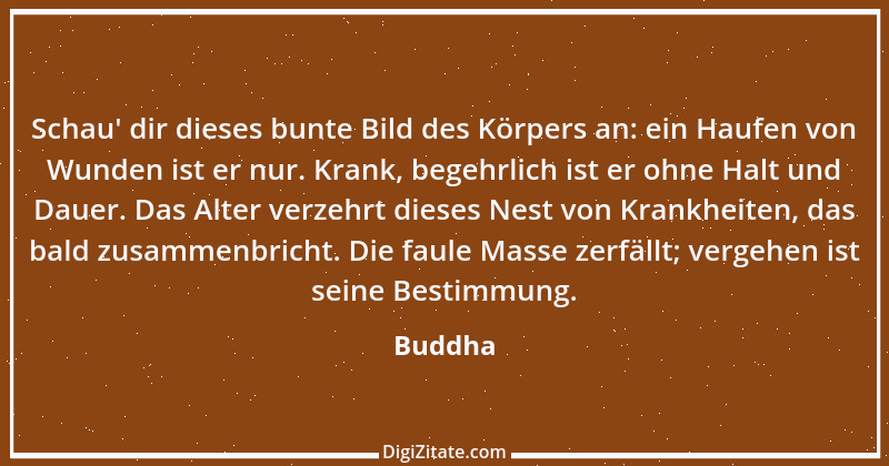 Zitat von Buddha 72