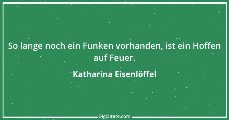 Zitat von Katharina Eisenlöffel 164