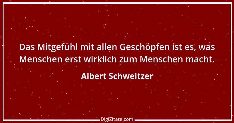 Zitat von Albert Schweitzer 7