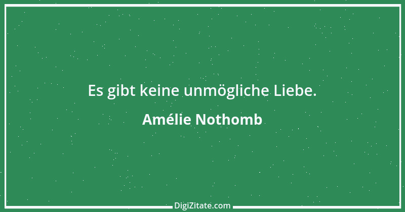 Zitat von Amélie Nothomb 24