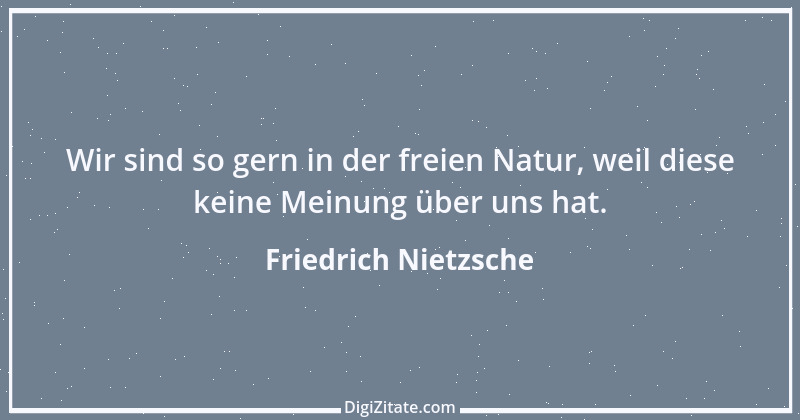 Zitat von Friedrich Nietzsche 233