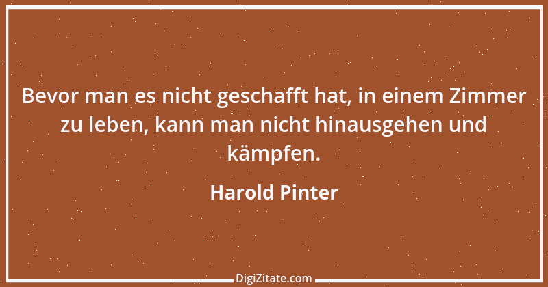 Zitat von Harold Pinter 12