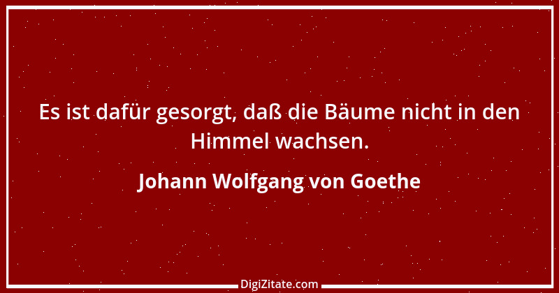 Zitat von Johann Wolfgang von Goethe 1296