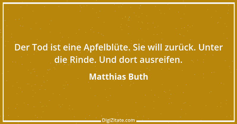 Zitat von Matthias Buth 4