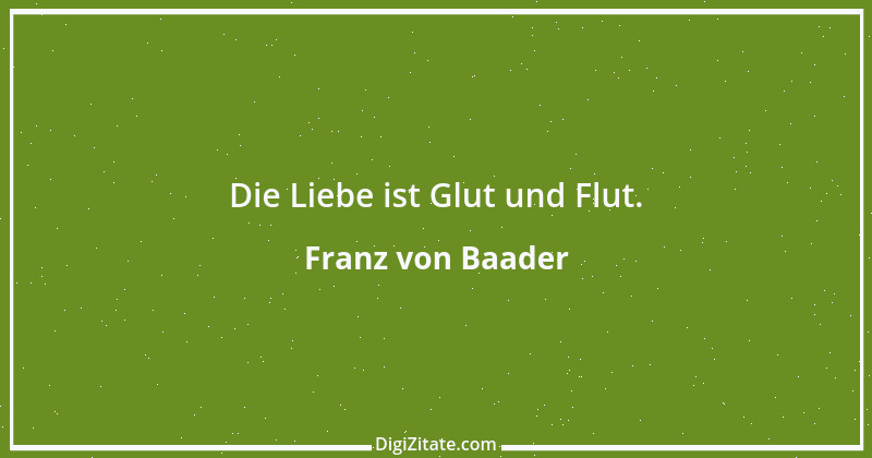 Zitat von Franz von Baader 3