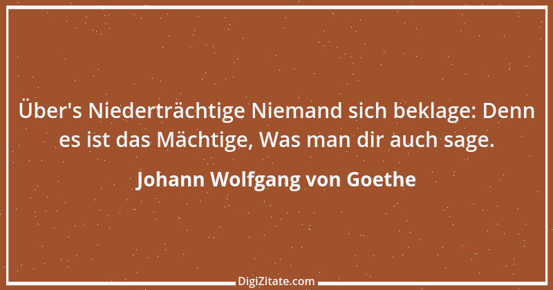 Zitat von Johann Wolfgang von Goethe 299