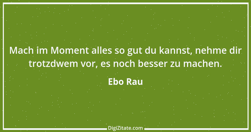 Zitat von Ebo Rau 53