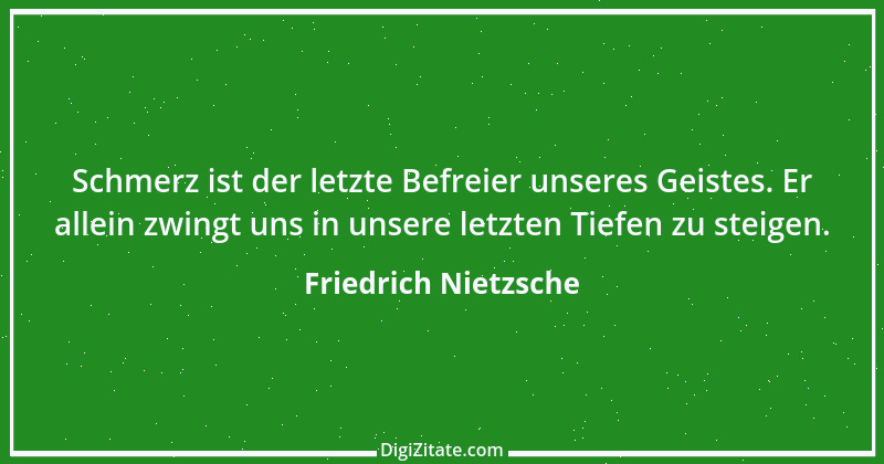 Zitat von Friedrich Nietzsche 1237