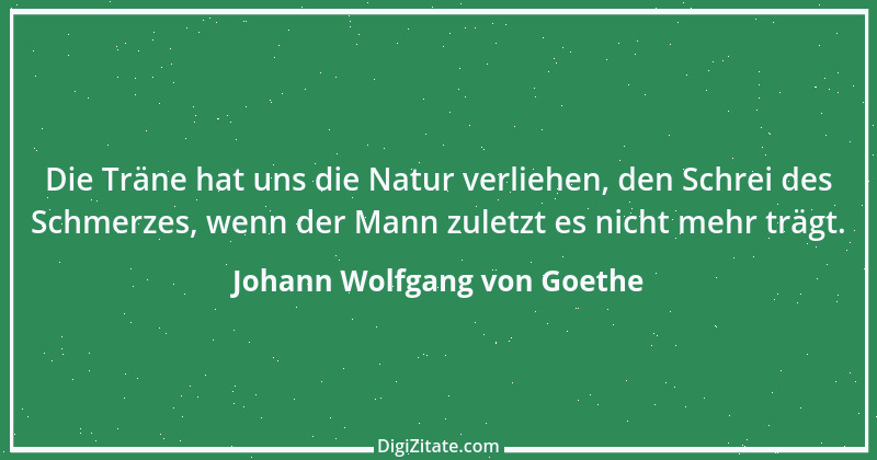 Zitat von Johann Wolfgang von Goethe 3300