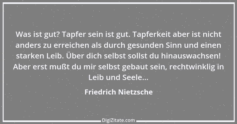 Zitat von Friedrich Nietzsche 238