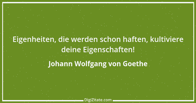 Zitat von Johann Wolfgang von Goethe 4301