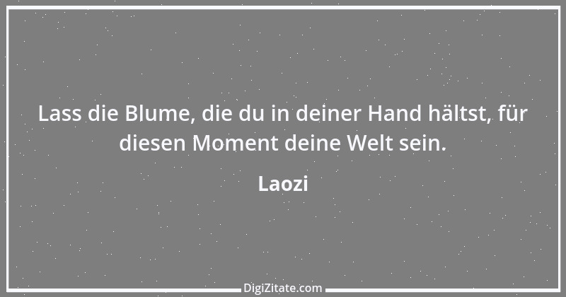 Zitat von Laozi 27