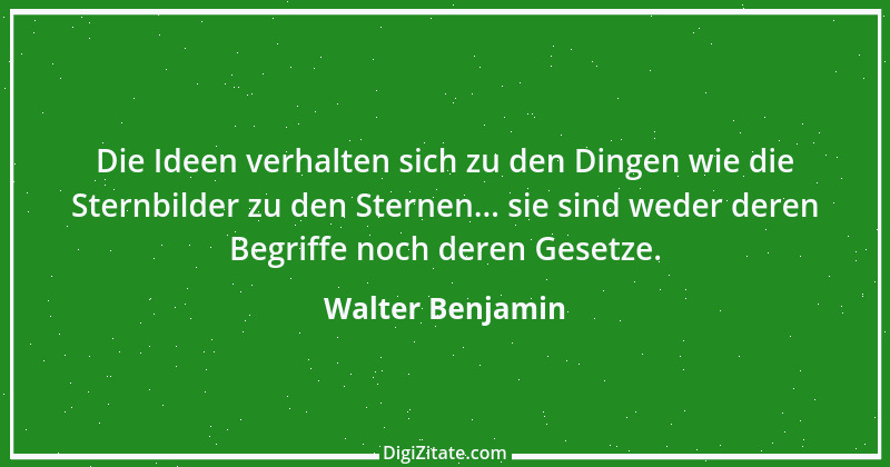 Zitat von Walter Benjamin 29