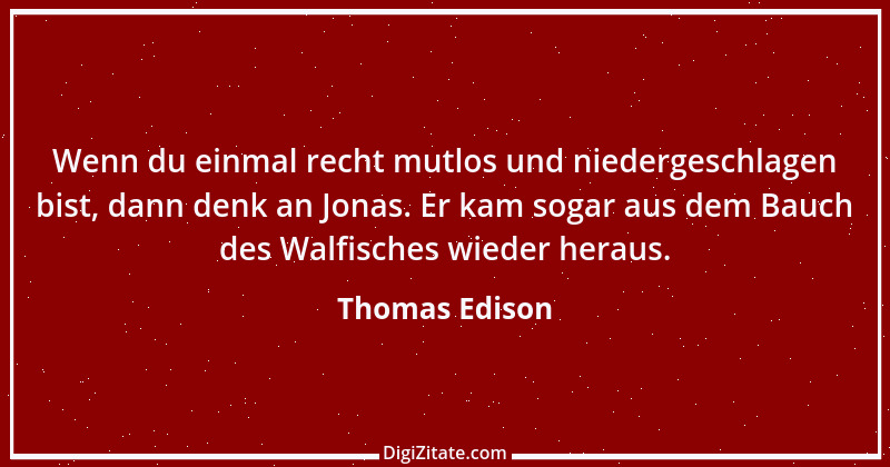 Zitat von Thomas Edison 8