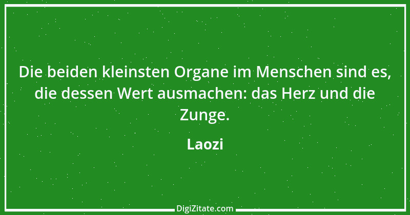 Zitat von Laozi 29