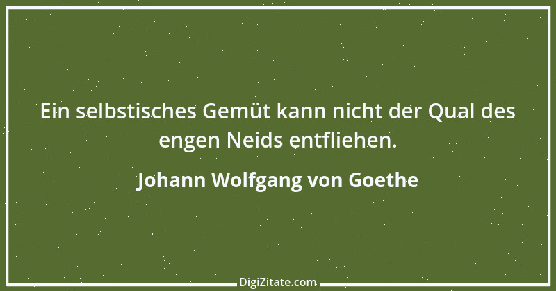 Zitat von Johann Wolfgang von Goethe 304