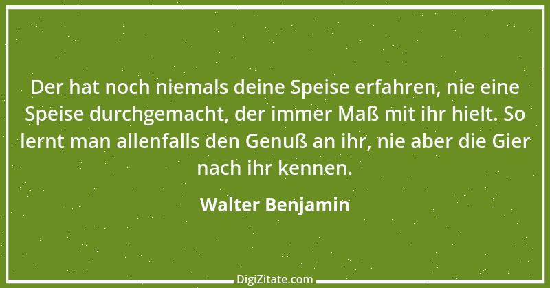 Zitat von Walter Benjamin 32