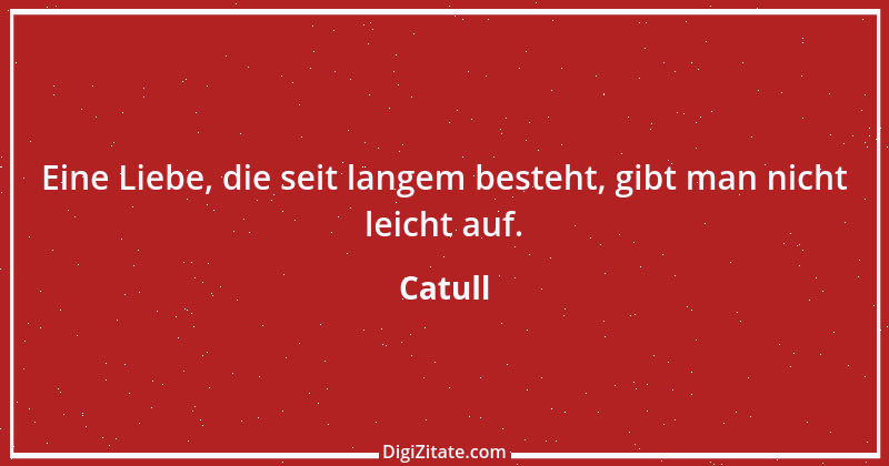 Zitat von Catull 13