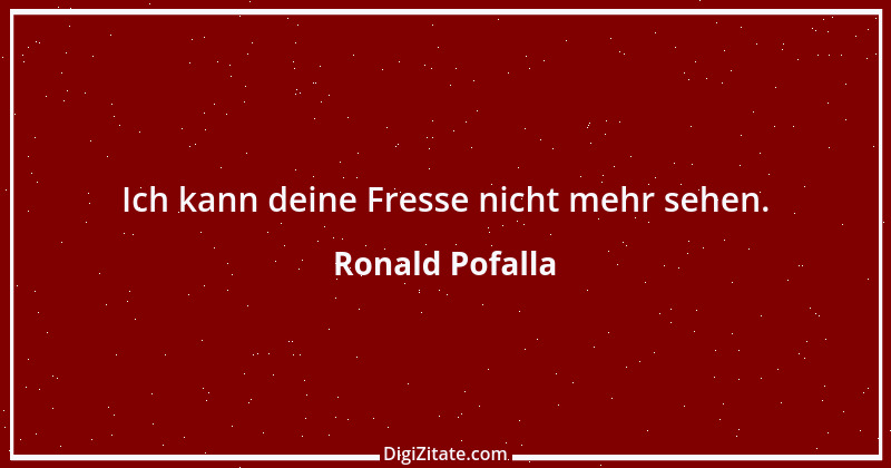 Zitat von Ronald Pofalla 2