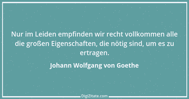 Zitat von Johann Wolfgang von Goethe 1306