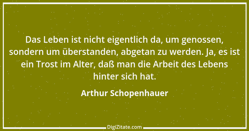 Zitat von Arthur Schopenhauer 173