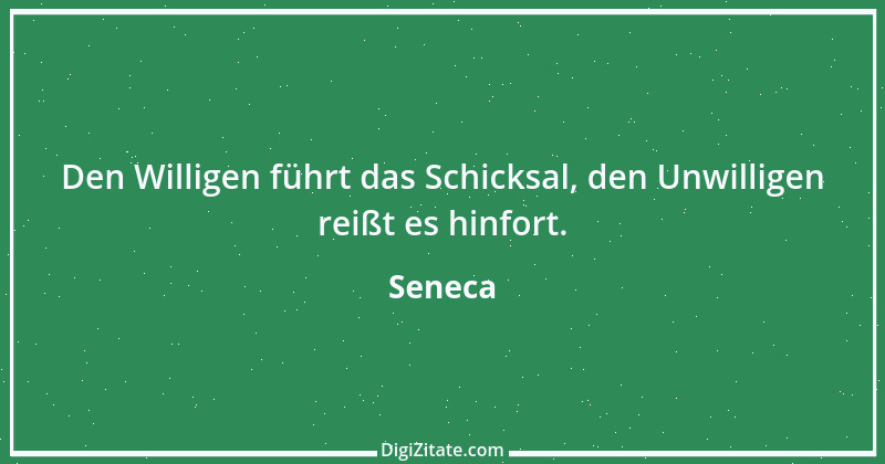 Zitat von Seneca 443