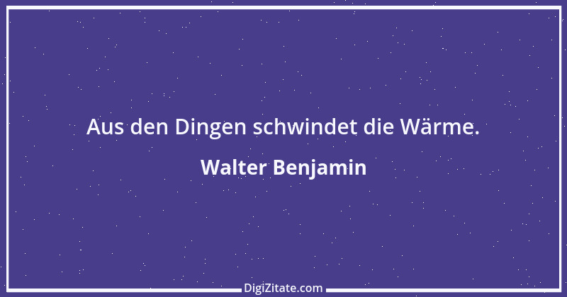 Zitat von Walter Benjamin 35