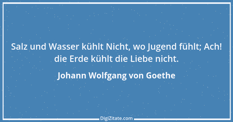 Zitat von Johann Wolfgang von Goethe 1308