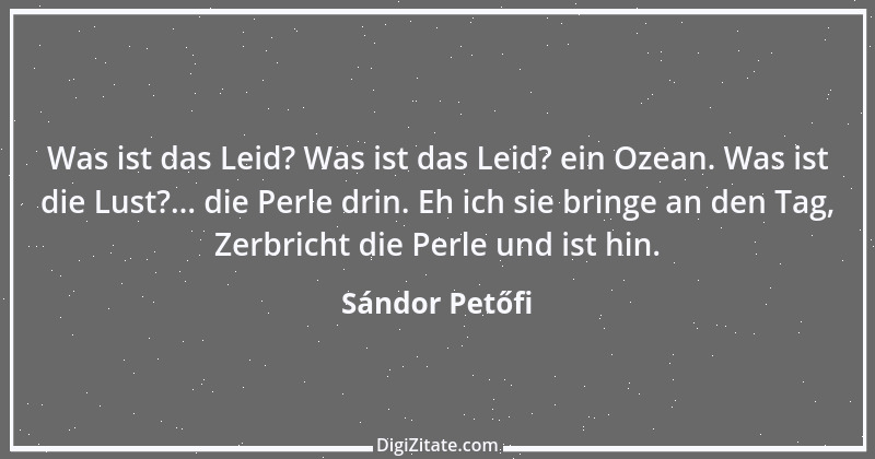 Zitat von Sándor Petőfi 19