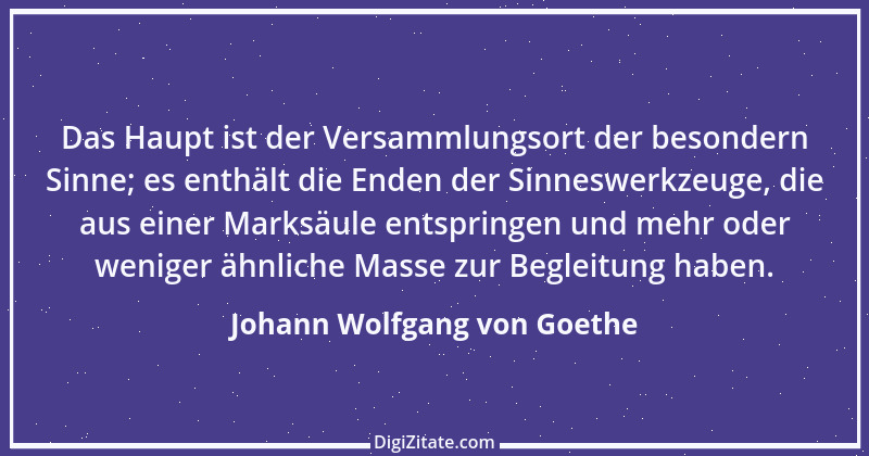 Zitat von Johann Wolfgang von Goethe 311