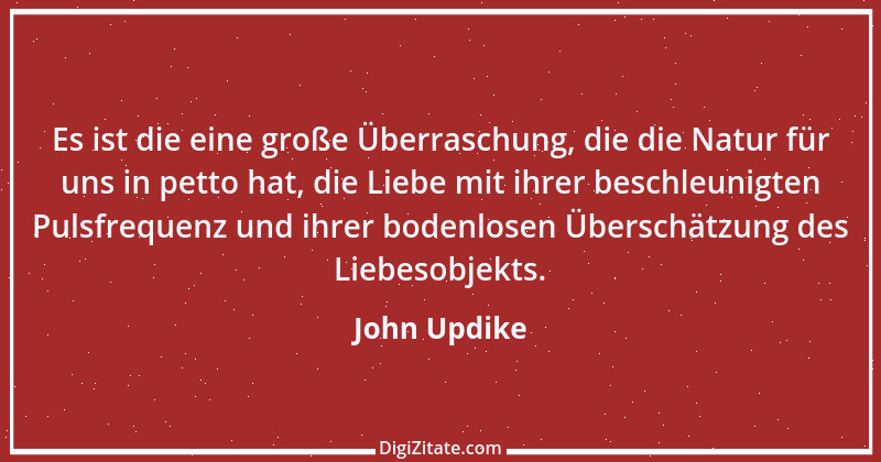 Zitat von John Updike 4