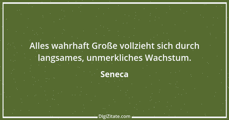 Zitat von Seneca 447