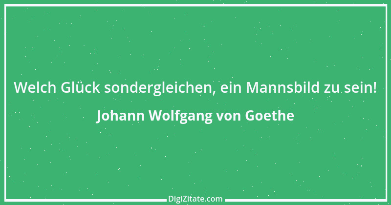 Zitat von Johann Wolfgang von Goethe 1313