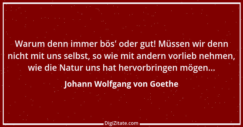 Zitat von Johann Wolfgang von Goethe 313