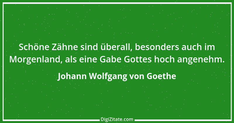 Zitat von Johann Wolfgang von Goethe 1314