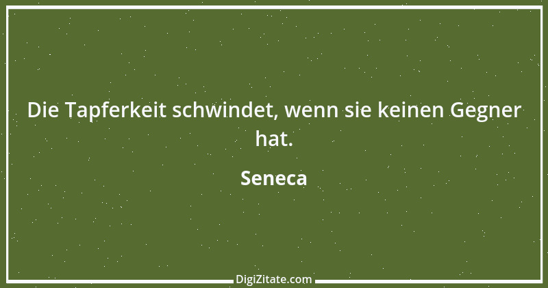 Zitat von Seneca 450